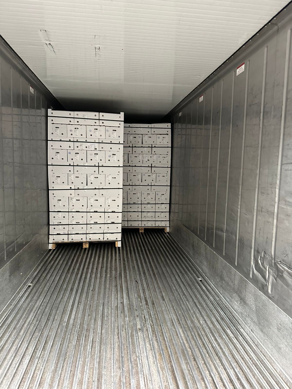 Empaque para Exportación